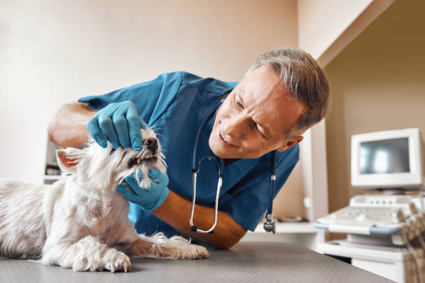 Best Pediatric Emergency Dentist in New Cordell, OK